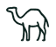 DESERT